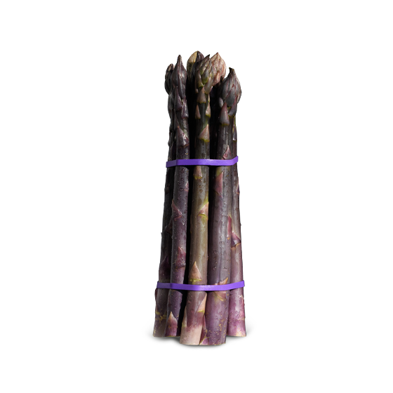 Purple asparagus bundled and held together with rubber bands