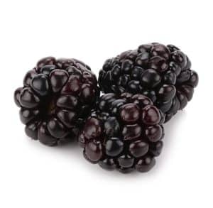 three blackberries on white background