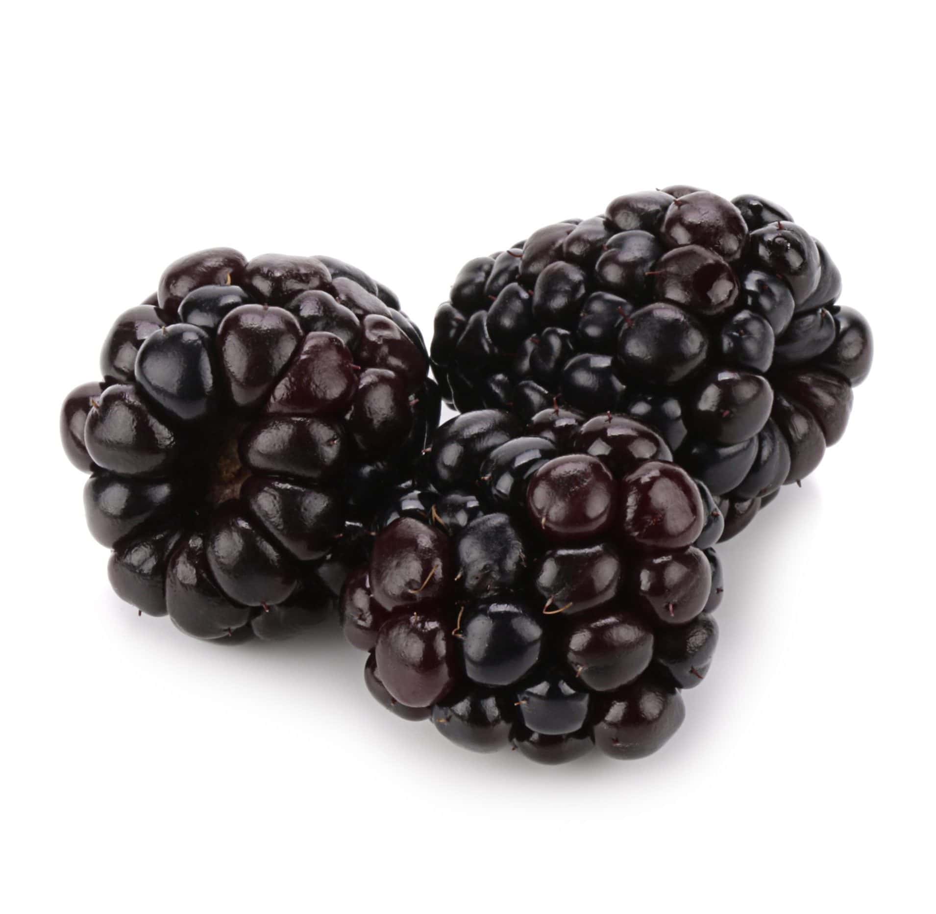 Blackberry Respect for 'D' ダンブル系、7台限定激レア Blackberries-520747006-scaled-