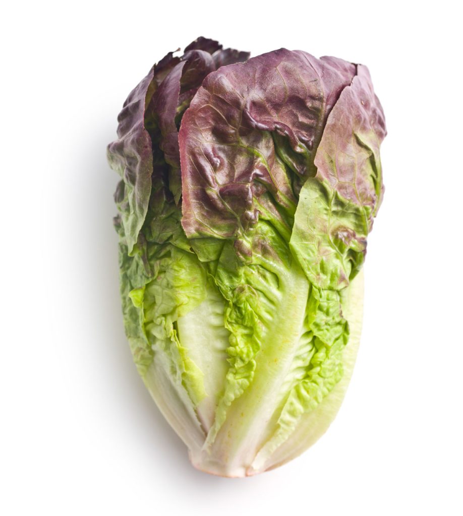 Baby Red Romaine Lettuce