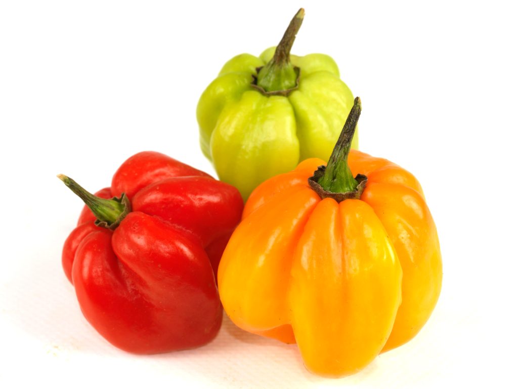 Scotch Bonnet Chillies
