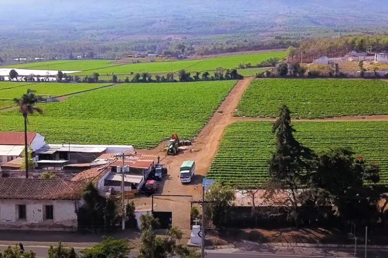Crystal Valley farm