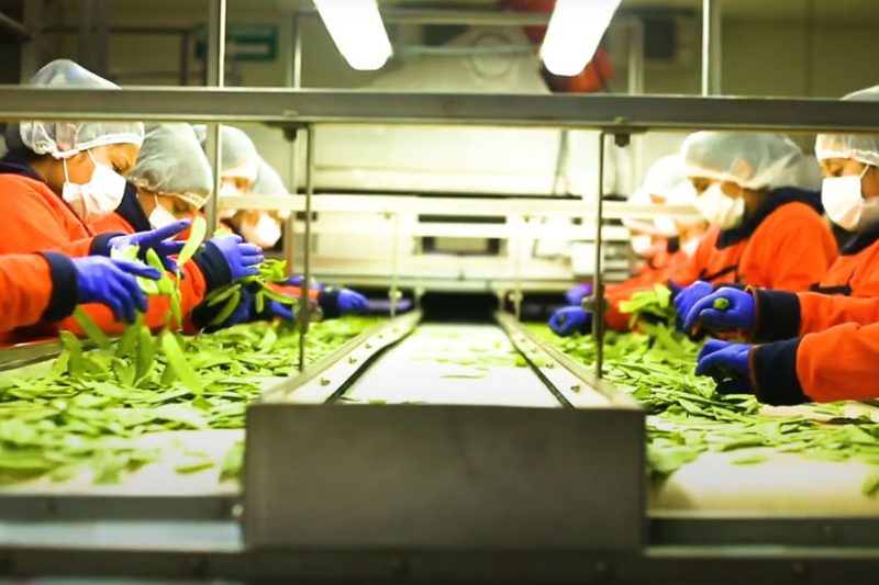 Crystal Valley production facility